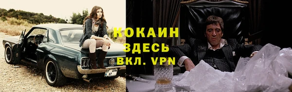 МДПВ Каменногорск