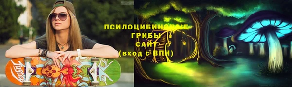 дживик Иннополис