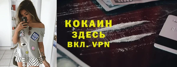 ALPHA PVP Каменка