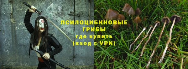 не бодяженный Инта