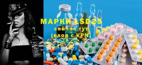 ALPHA PVP Каменка